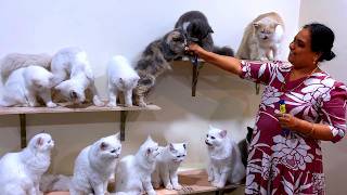 Finally Nanga Itha Senjitom