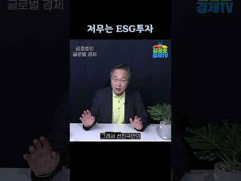   저무는 ESG투자