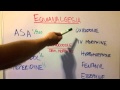 How Strong are Different Painkillers: Equianalgesia Introduction