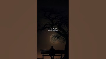اكتب شيء تؤجر عليه ❤️ // قران كريم | ياسر الدوسري