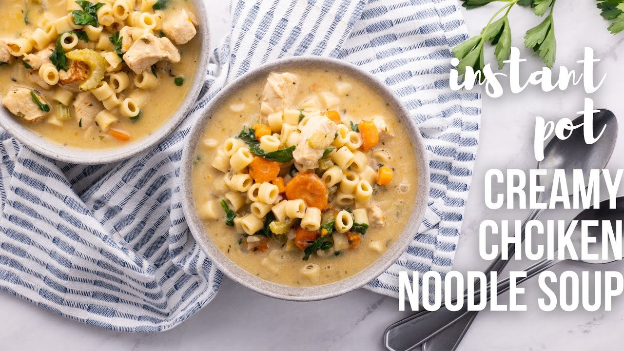 Creamy Instant Pot Chicken Noodle Soup - The Recipe Rebel