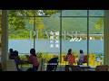 【Playlist】緑の中、涼しげな洋楽と🌿 | 作業用BGM | Chill | Cozy