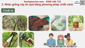 Giáo án PowerPoint bài 2: Nhân giống vô tính cây ... | GA điện tử Công nghệ trồng cây ăn quả 9 KNTT