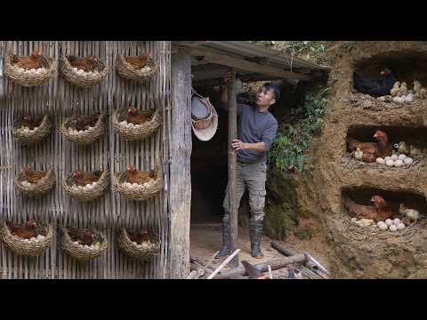 Full Video : We Built a Hidden Hydropower System… Then Turned an Old Pig Pen Into a Chicken Farm