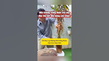 Không Trồng Được Cây Này? Hãy Bắt Đầu Với Loại Cây Dễ Trồng Hơn
