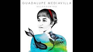 Guadalupe Mediavilla -  Ese misterio azul