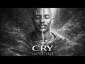 Victor Ivyic Cry Lyrical Video 