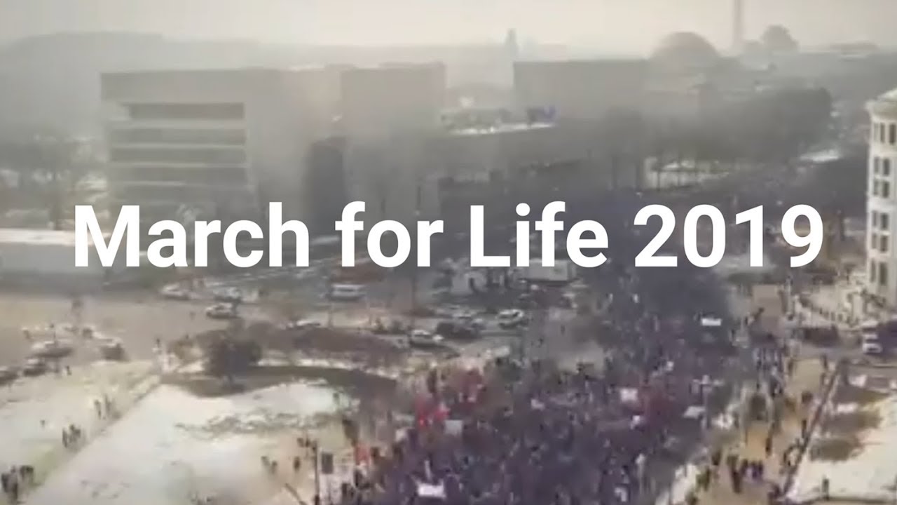Timelapse Video of March for Life 2019 in Washington, D.C.