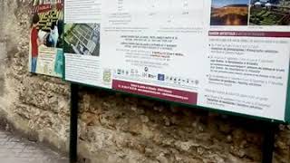 FRANCE 1(14)