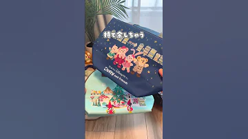 ちゃんと使ってる ディズニーのランチケース 