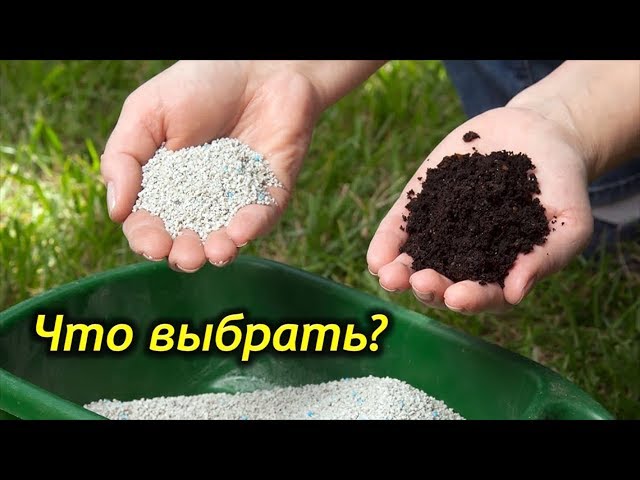 Какие удобрения выбрать для комнатных растений? Минеральные или органические?