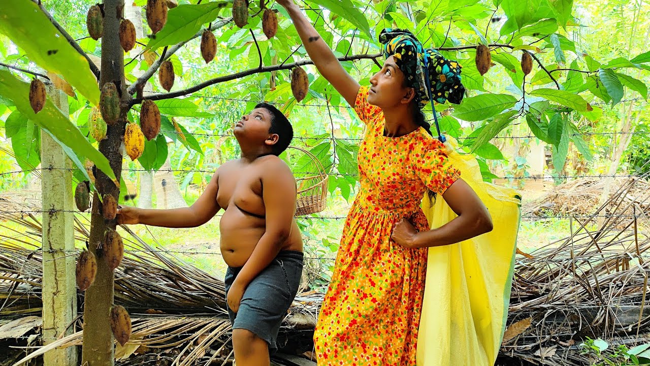 අලුත් දර පෝරණුවේ හදපු කේක් කෑල්ලක් කාලා...කහට කෝප්පයක් බොමුද  Christmas Choco Fruity Nuts cake🎄🥞🌹🎄..