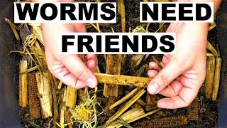 Lasagna Method Compost Worm Bin- The Ecosystem