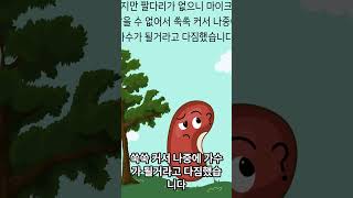 강낭콩 가수되기