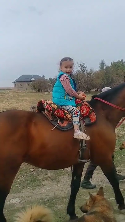 Коркыныш дегенди билмейтин батыл журекти кызым менин.Жау журек мын бала ...