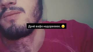 музыка такя назан бе дунё 🎶🎶