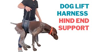 How to Use a Dog Lift Harness