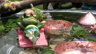 RTF.1-Nachrichten: Garden Life startet ab Christi Himmelfahrt zum 23. Mal (07.05.2026)