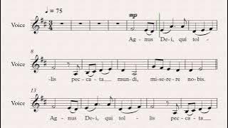 Agnus Dei - LATIN (HIS) - Mass Setting