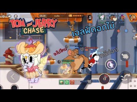 Tom And Jerry Chase | รีวิว เอลฟ์ดอกไม้ สกินระดับ A มิเชล