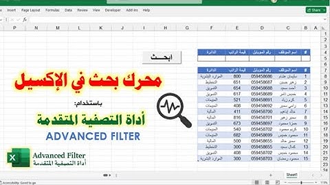 محرك بحث يقوم بالتصفية حسب كلمة أو أكثر في الإكسيل باستخدام التصفية المتقدمة Advanced Filter