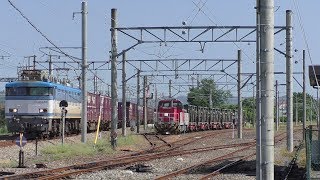 【JR貨物】８０５７レ ＥＦ８１-４５２ 汽笛あり