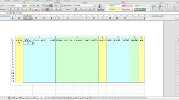 Excel - Using the data validation option for entering survey data
