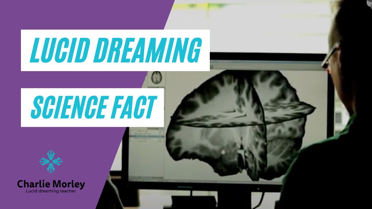 Lucid Dreaming Science Fact not Fiction YouTube