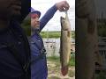 TAKE ME BACK FISHING PLEASE🥴  #shorts #fishing #youtubeshorts #fish