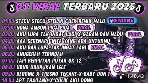 DJ TIKTOK TERBARU 2025- 🎵 DJ DJ STECU STECU STELAN CUEK REMIX 🎵 DJ COBA COBA JALANIN DULU FULL ALBUM