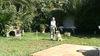 Auch Cheelo Muss Schufften -