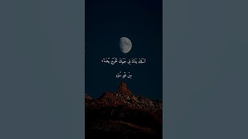 سورة القصص { ٣٠ ــ ٣٢ } #ياسر_الدوسري #quran انشر تؤجر