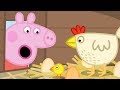 Peppa Pig Italiano 🐣 Il pollaio di nonna Pig - Collezione Italiano - Cartoni Animati