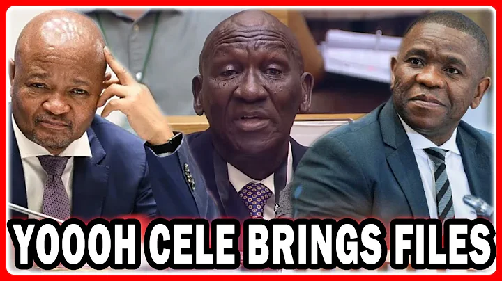 FORMER MIN Bheki Cele Evidence To AD HOC Committee “Cele Backs Mkhwanazi And Throws Mchunu Under Bus