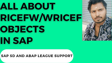 All about RICEFW/WRICEF objects in SAP