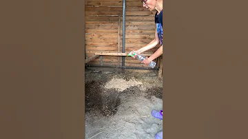 Как избавиться от запаха в курятнике? #хуторстуканов
