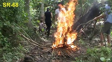 CÁ LÓC NƯỚNG TRUI - MÓN NGON ĐẶC SẢN MIỀN TÂY | DÂN MIỀN TÂY