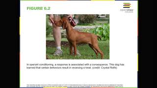 OpenStax Psychology 6.1 What is learning
