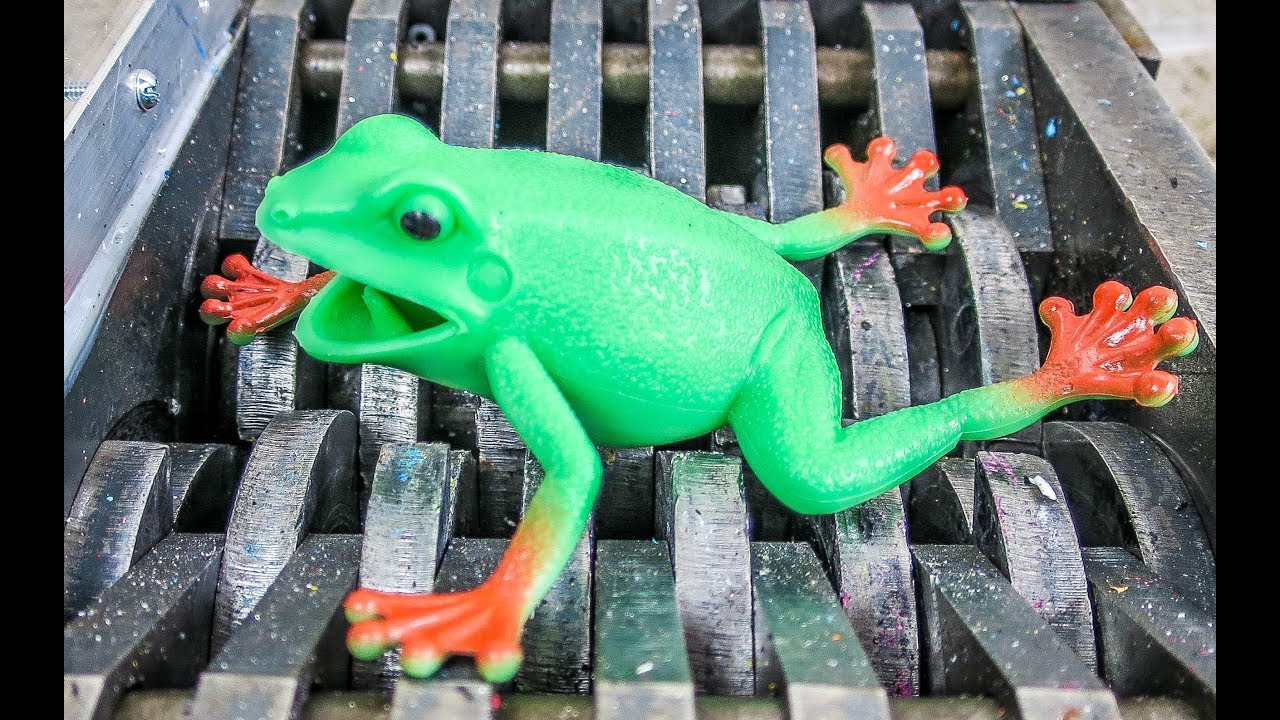 Shredding Frogs! How to Make Frog Sausage! What's Inside Squishy Slimy Water Bath Toys?