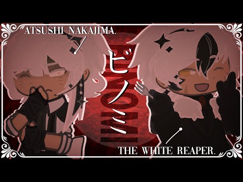 ✦ 🥩 ꒰꒰ BINOMI / ビノミ・BSD;; BEAST | Atsushi N. + THE WHITE REAPER | TW !!