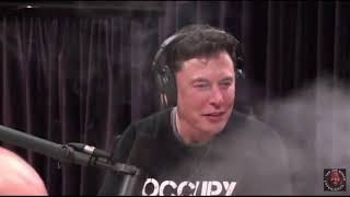 Elon Musk Hits A Blunt With Joe Rogan