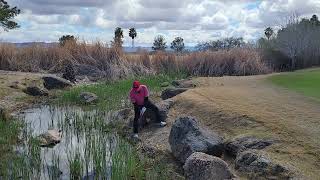 Goleno on the 9th at Desert Hawk @ BC