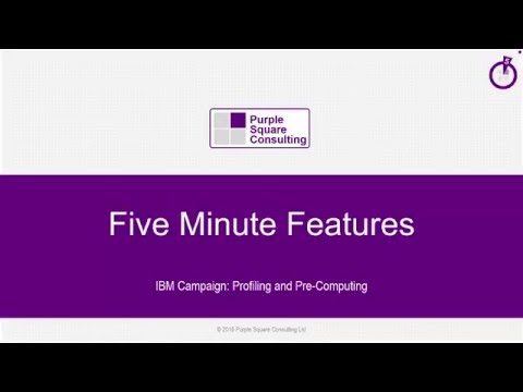 Profiling and Pre-Computing - IBM Unica Campaign Tutorial