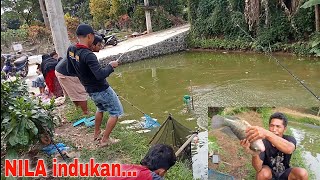 Ed44Nn...Nila segede ini‼mancing nila indukan...( 3 juta)