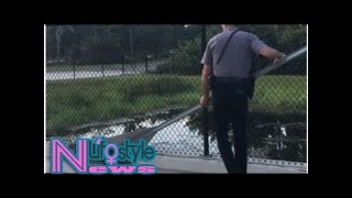 Police officer uses yield sign to escort alligator back to pond