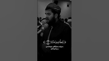 تلاوە من اجمل ماسمعت للقارئ دلشاد احمد❤