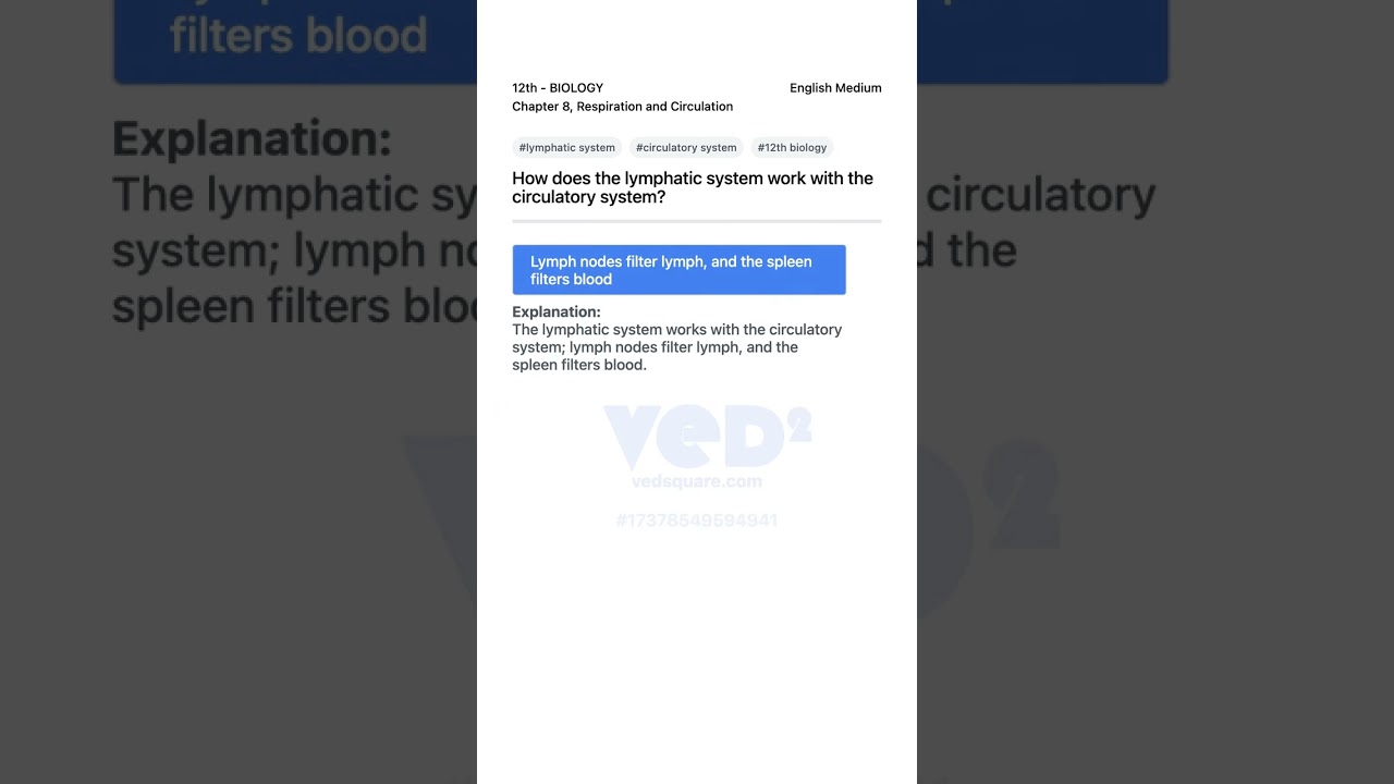 How Lymphatic System Works With Circulatory System 12th Biology