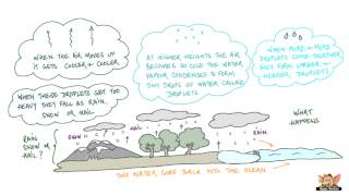 Water - Water Cycle