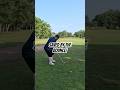 Pulled My Shot Left… But The Bounce Was Nice!