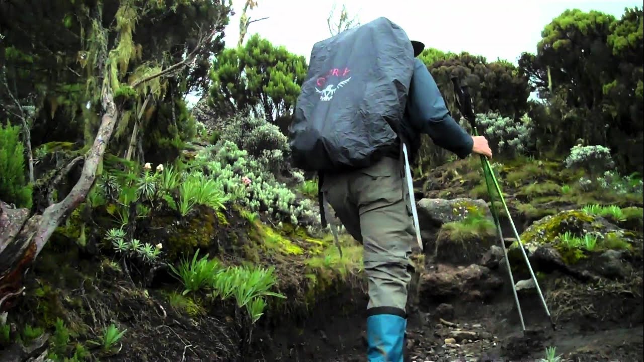 I'm a Mormon, Former Professional Football Player